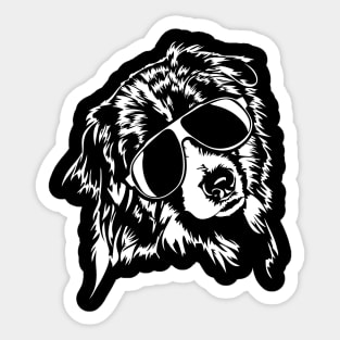 Funny Australian Shepherd sunglasses cool Aussie dog Sticker